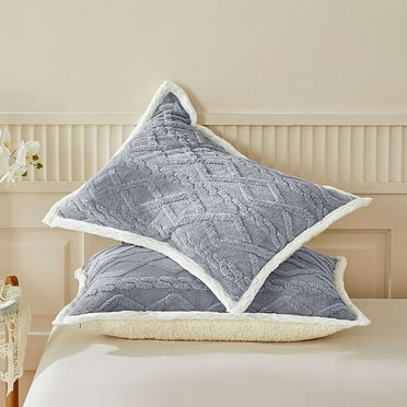 Four Seasons Thickened Velvet Pillowcase Velvet Pillowcases Queen Size,1 Pack Soft Color Pillow Shams Covers with Zippers Closure, Luxury Cozy Decorative Pillow Cases, No Filling,18.9 ×29.1in