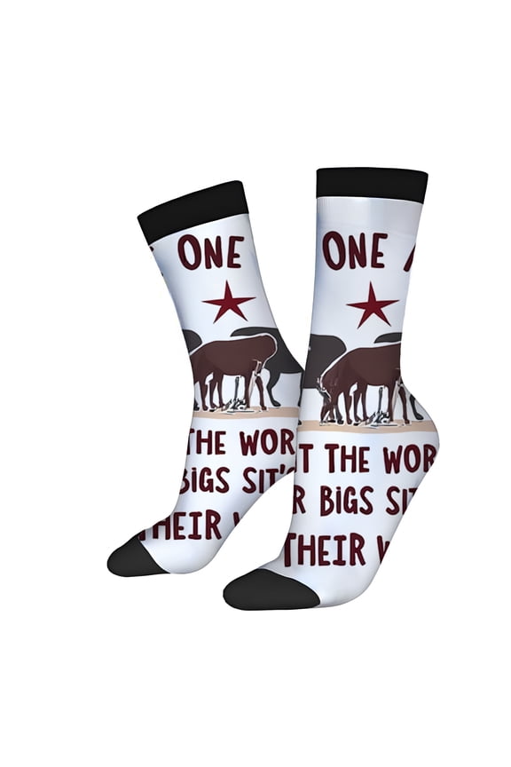 Four Seasons Universal Socks (2 Pairs) - Fun Mixed Color Design with Playful Camel Pattern Unisex Trendy Socks for All Occasions