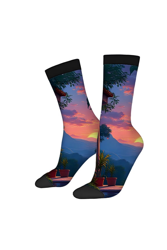 Four Seasons Universal Socks (2 Pairs) - Vibrant Outdoor Scene Design with Potted Plants Sky Unisex Trendy Mixed Color Socks