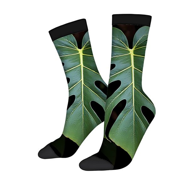 Four Seasons Universal Socks - 2 Pairs of Unisex Trendy Socks with Vibrant Leaf Pattern Black Cuff & Toe Mixed Colors