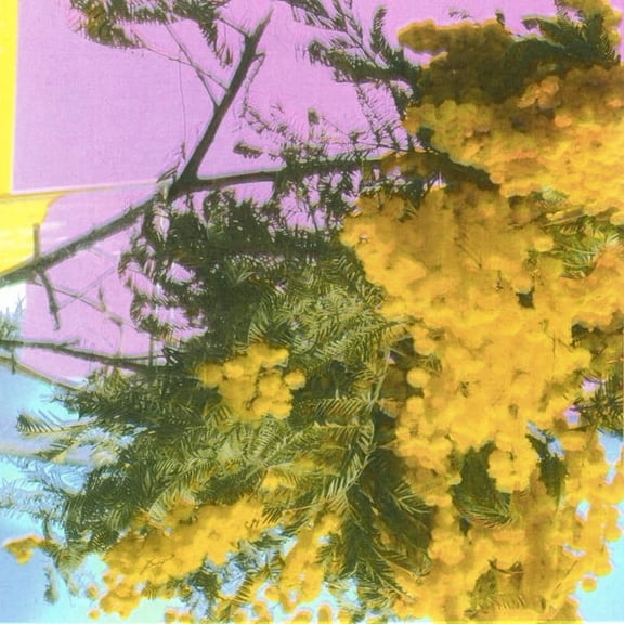 Four Tet Into Dust (Still Falling) (Indie Exclusive) Records & LPs