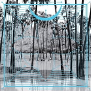 Four Tet - Pink - Music & Performance - Vinyl