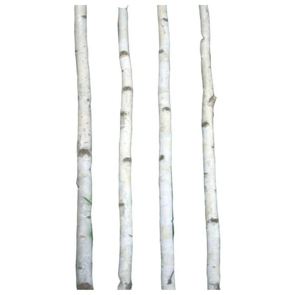 Four Thin White Birch Poles 8 ft