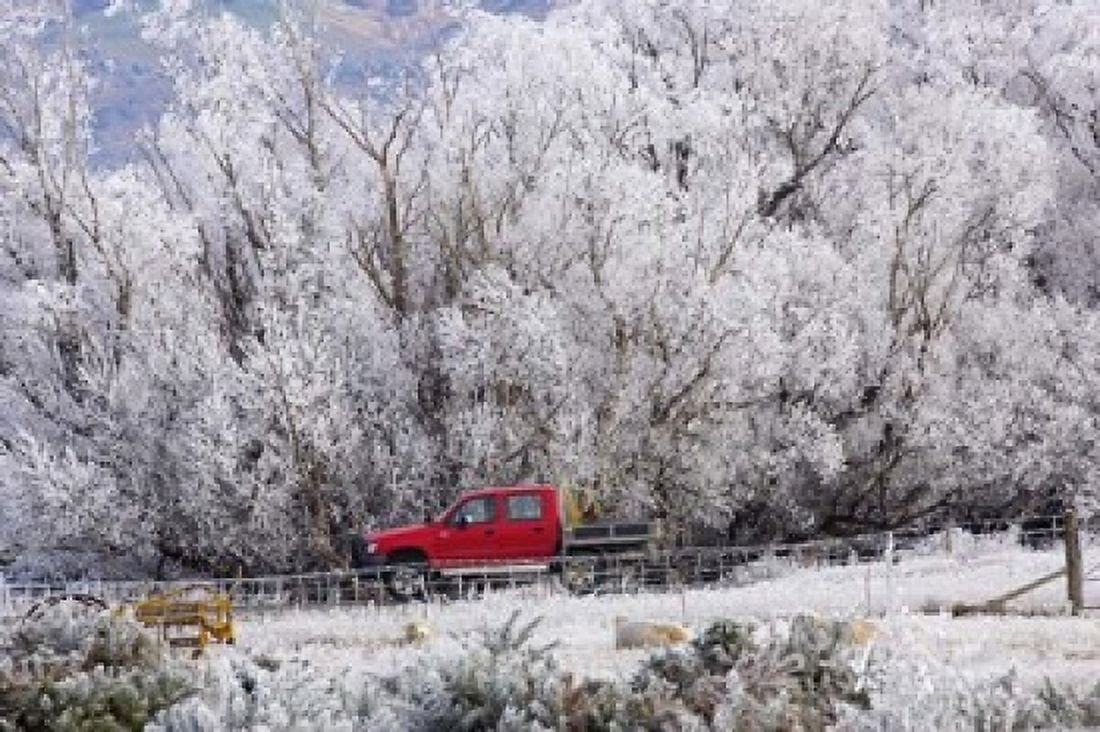 Four Wheel Drive and Hoar Frost Sutton Otago South Island New Zealand Canvas Art - David Wall DanitaDelimont (17 x 11)