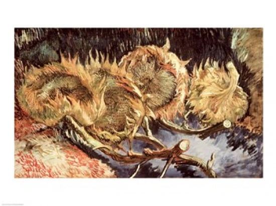 Four Withered Sunflowers 1887 Canvas Art - Vincent Van Gogh (24 x 18)