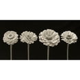 thumbnail image 1 of Four Zinnia flowers in a row Poster Print by Assaf Frank (24 x 12) # AF20140804242C08, 1 of 1