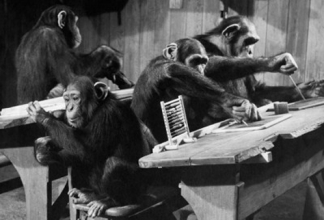 Four chimpanzees sitting in a classroom Canvas Art - (18 x 24)