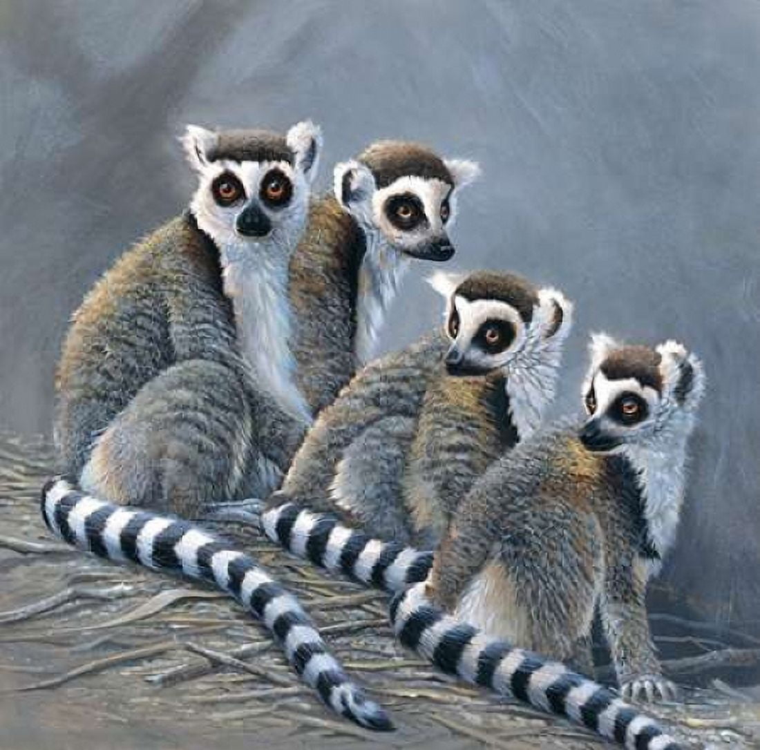 Four monkeys Canvas Art - Jan Weenink (24 x 24)