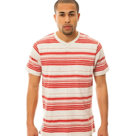 Fourstar Clothing Mens The Malto Graphic T-Shirt, Grey, Small