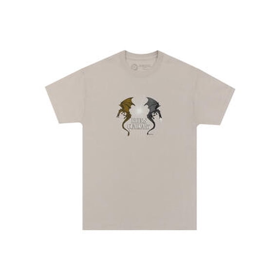 Fourth Wing: Riders Quadrant Unisex T-Shirt Small