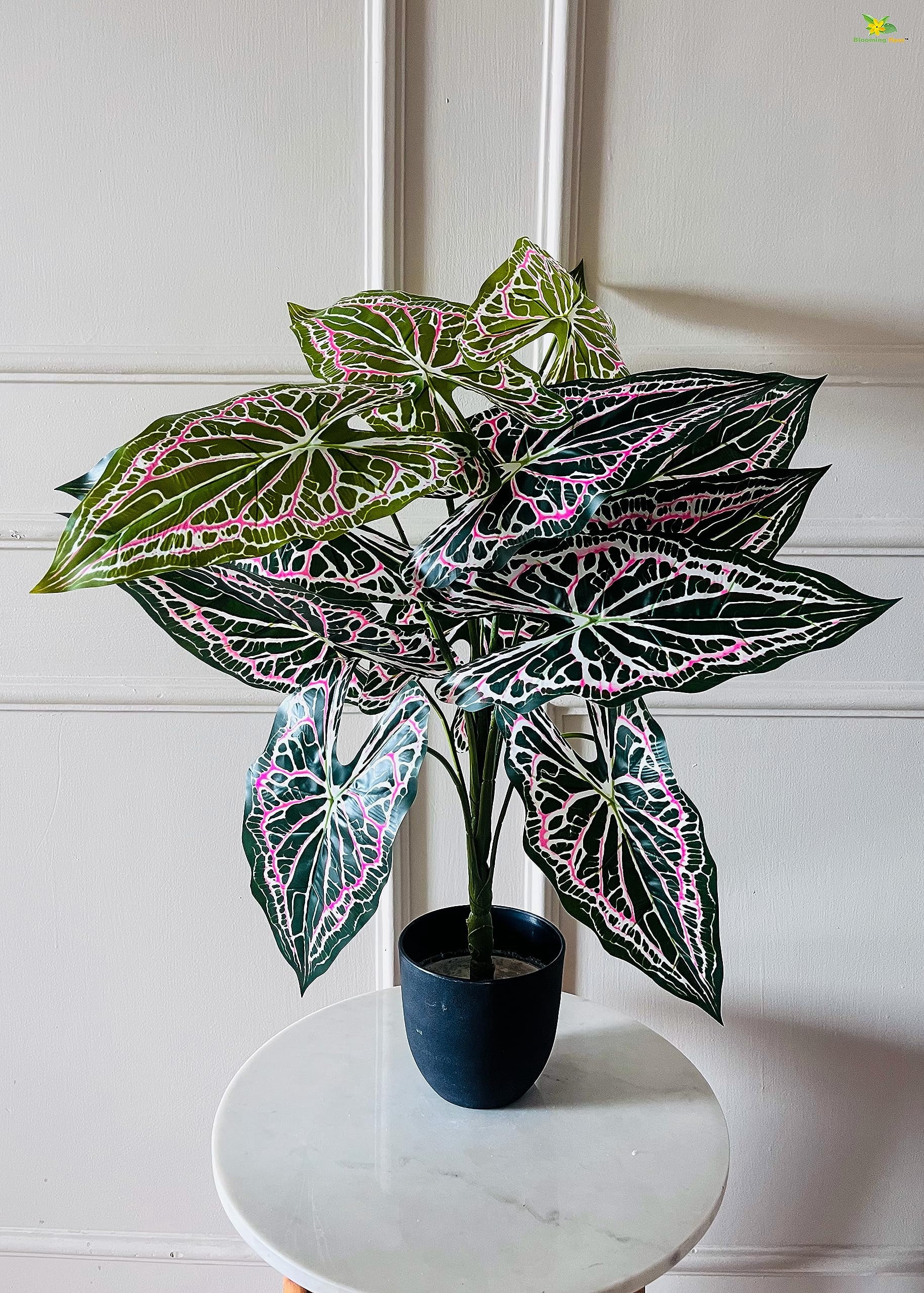 Fourthline Artificial Caladium Plant | with Basic Black Pot | 12 Leaves ...