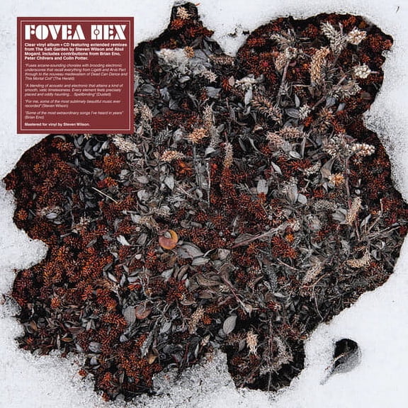 Fovea Hex - The Salt Garden (Clear Vinyl) - Music & Performance