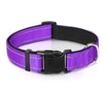 thumbnail image 1 of Fovien Reflective Dog Collar,Solid Simple Color Classic Collar,Soft Padded Breathable Nylon Pet Collar, Adjustable for Puppy and Small Dogs Purple M, 1 of 6
