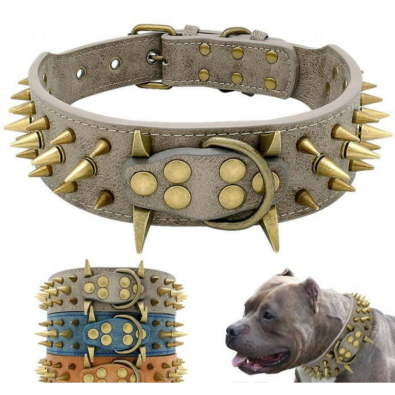 Studded Dog Collar - Unique and Stylish Dog Collar
