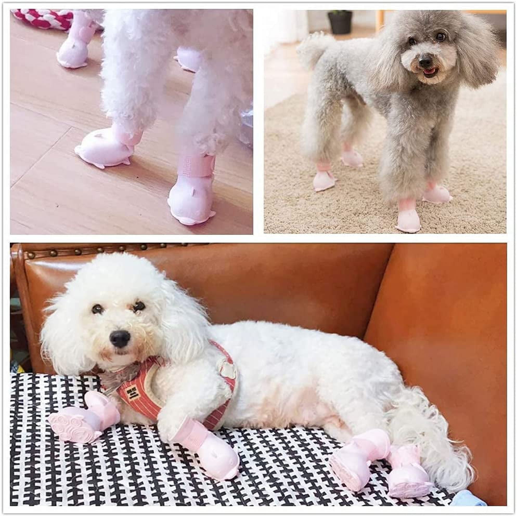 Bichon shoes cheap