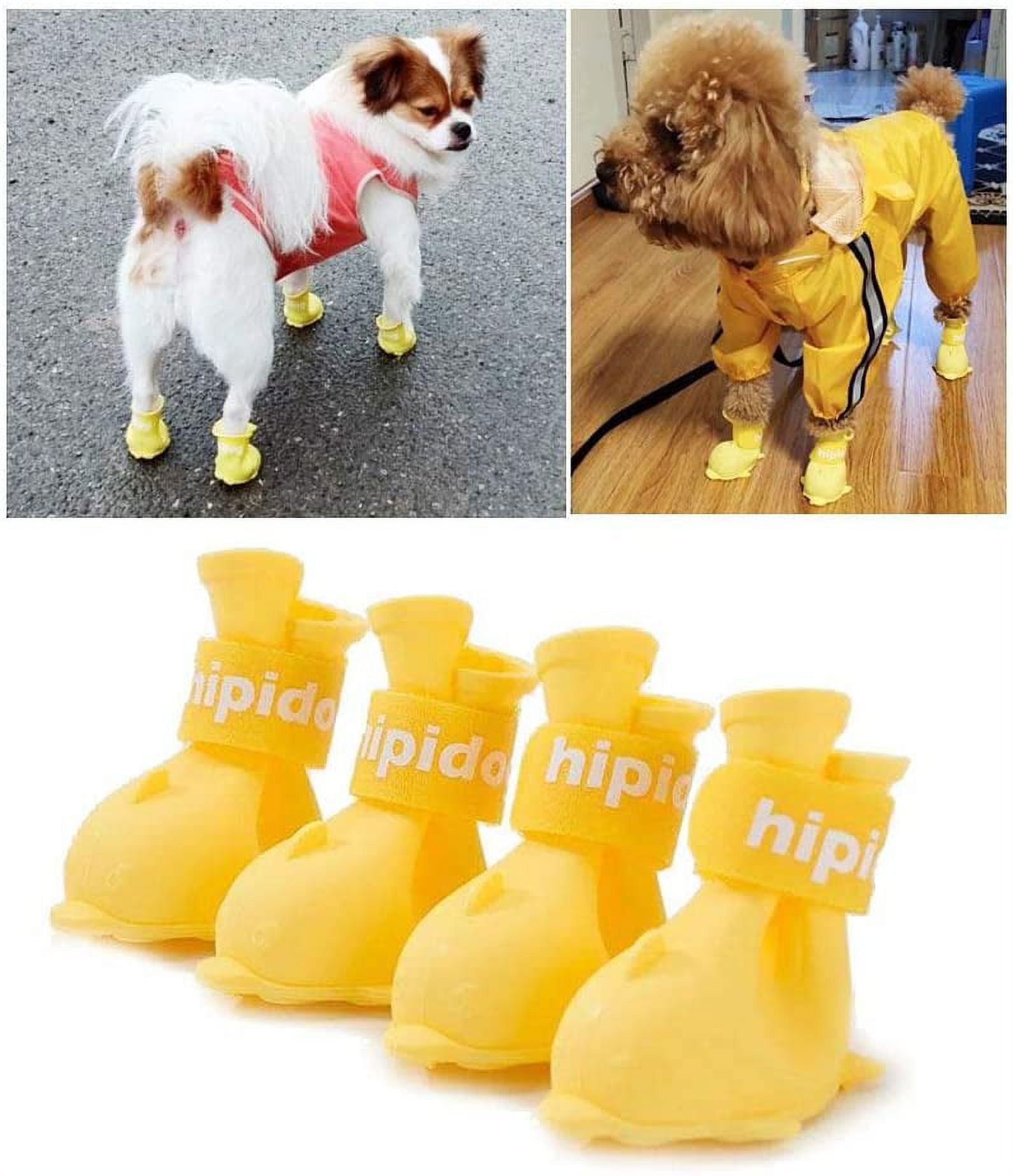 Yellow dog shoes sale