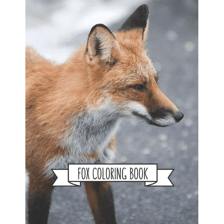 https://i5.walmartimages.com/seo/Fox-Coloring-Book-Lover-Gifts-Toddlers-Kids-Ages-4-8-Girls-8-12-Adult-Relaxation-Cute-Stress-Relief-Animal-Birthday-A-Paperback-9781707953165_889bd594-9254-461d-961c-3a92761098d2.a561cbfb0646d0904e6217a17af61c72.jpeg?odnHeight=768&odnWidth=768&odnBg=FFFFFF