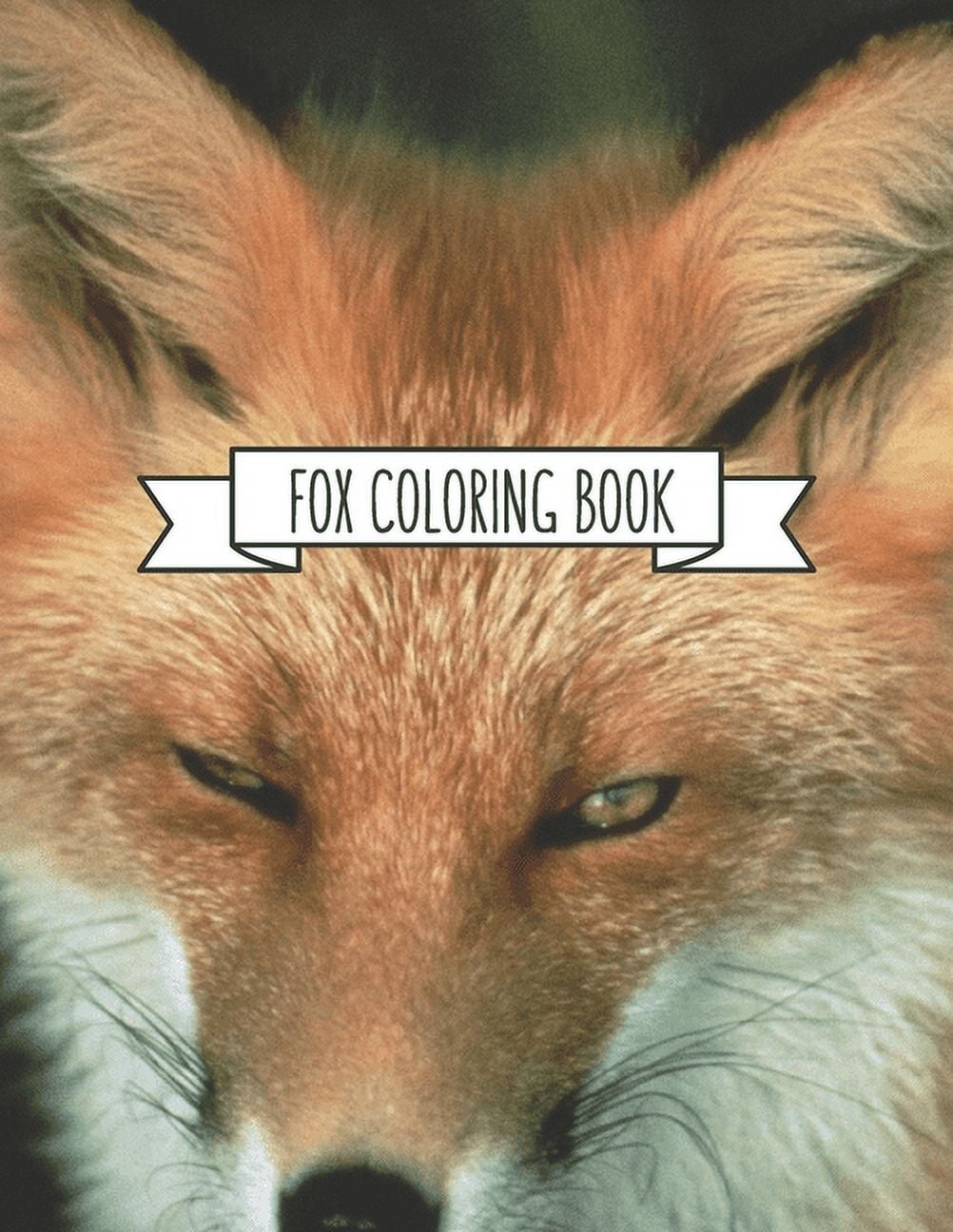 Fox Coloring Book: Fox Lover Gifts for Toddlers, Kids Ages 4-8