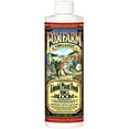 thumbnail image 1 of Fox Farm Big Bloom Liquid Concentrate Fertilizer, 1-Pint (1-Pack), 1 of 1