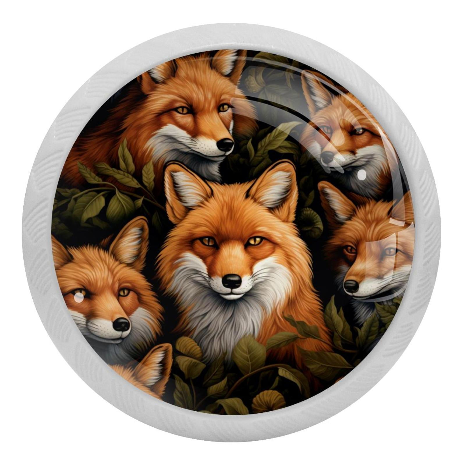 Fox Fluorescent Drawer Pulls with Screws Round 4Pack Glowinthe