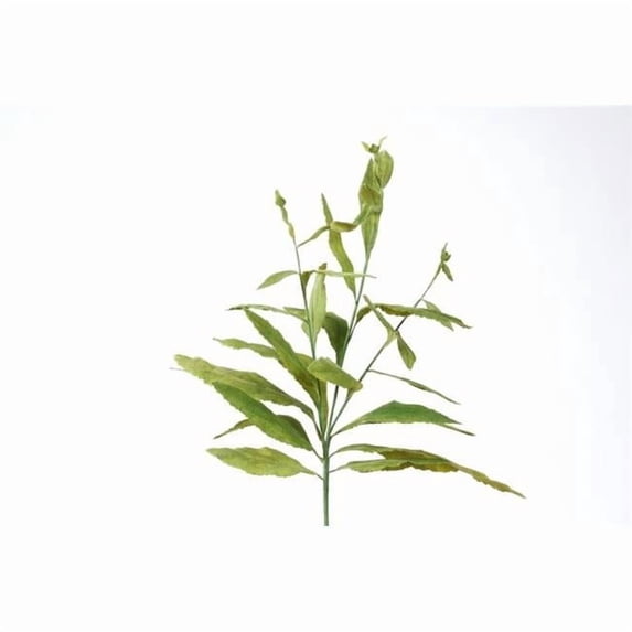 Fox Glove Green Leaf - Pack of 12
