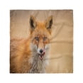 thumbnail image 1 of Fox Head Scarf, Hungry Young Coyote on Blurred, Head Wrap, 3 Sizes, by Ambesonne, 1 of 2