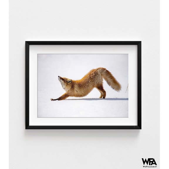 Fox Photography Wall Decor, Framed Red Fox Art, Wild Rex Fox In Field Photography, Fox In The Snow Print, Framed Wall Art,Oversized Wall Art