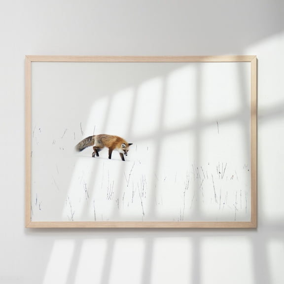 Fox Prowls Voles Carol Highsmith Photography Mountain Portrait Decor Unframed Paper Print