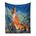 thumbnail image 1 of Fox Soft Flannel Fleece Throw Blanket, Serene Autumn Field in Cold Morning Animal Nature Scenery Grass Perspicacious, Cozy Plush for Indoor and Outdoor Use, 60" x 80", Blue White Orange, by Ambesonne, 1 of 6