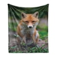 thumbnail image 1 of Fox Soft Flannel Fleece Throw Blanket, Young Coyote Photo Leaves in Forest, Cozy Plush for Indoor and Outdoor Use, 50" x 70", Ginger Multicolor, by Ambesonne, 1 of 5
