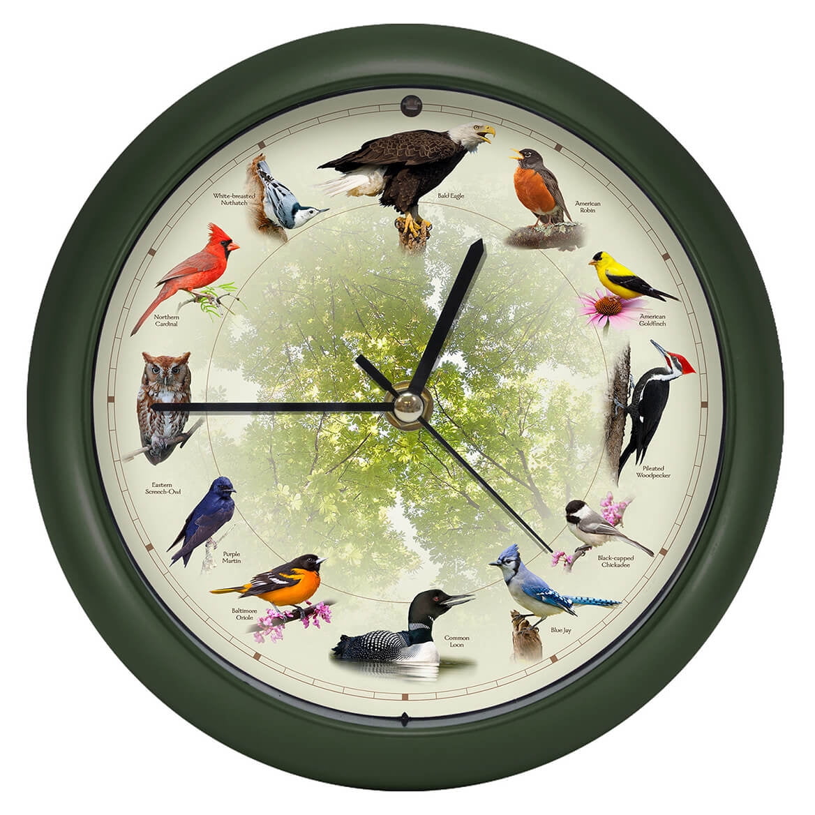 Green Matte Limited Edition 8-Inch Singing Bird Wall/Desk Clock
