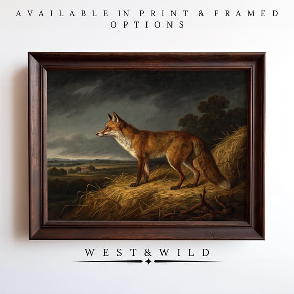 Fox Vixen Print Vintage Wall Art Dark Fox Decor Of Gallery Illustration For Cabin Or Prints Red Fox