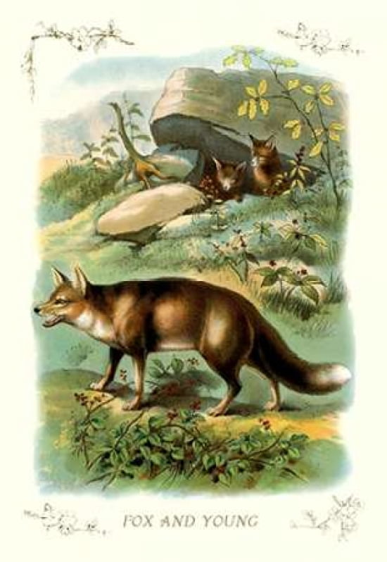 Fox and Young 1900 Canvas Art - Unknown (12 x 18)