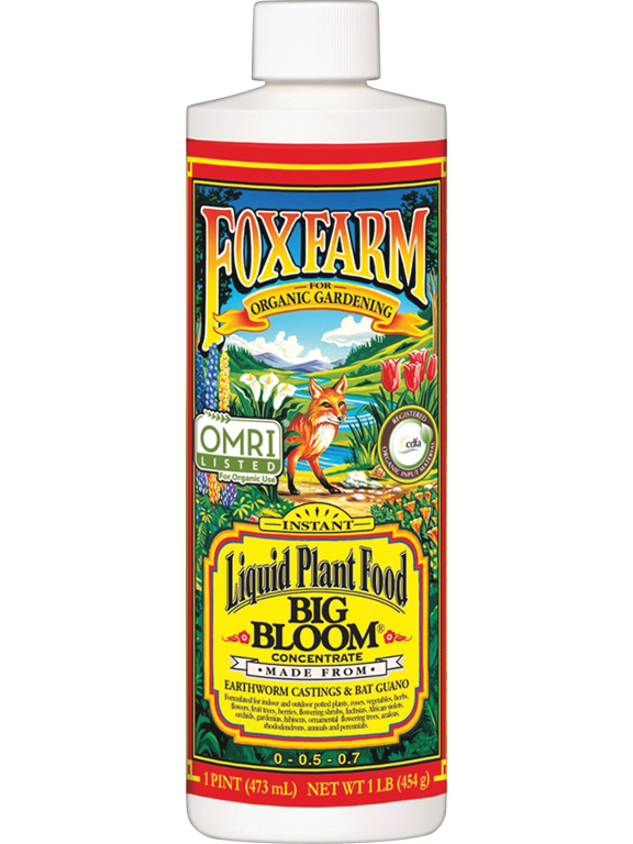 Big Bloom Organic Liquid Plant Food - Single Pack Outdoor & Indoor Plant Use, Easy Application