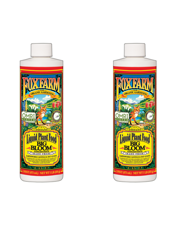 FX14091 Big Bloom Liquid Concentrate Organic Plant Food, 1 Pint (2 Pack)