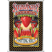 FoxFarm Strawberry Fields Potting Soil - Pack of 2   Indoor & Outdoor Container & Garden Use
