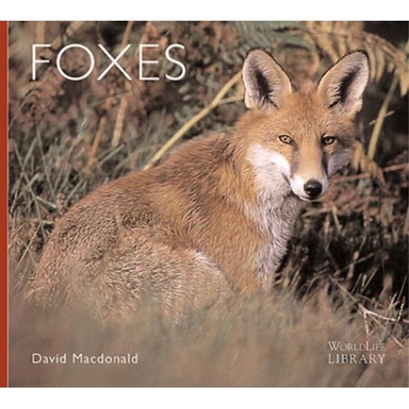 Pre-Owned Foxes (Paperback) 0896584674 9780896584679