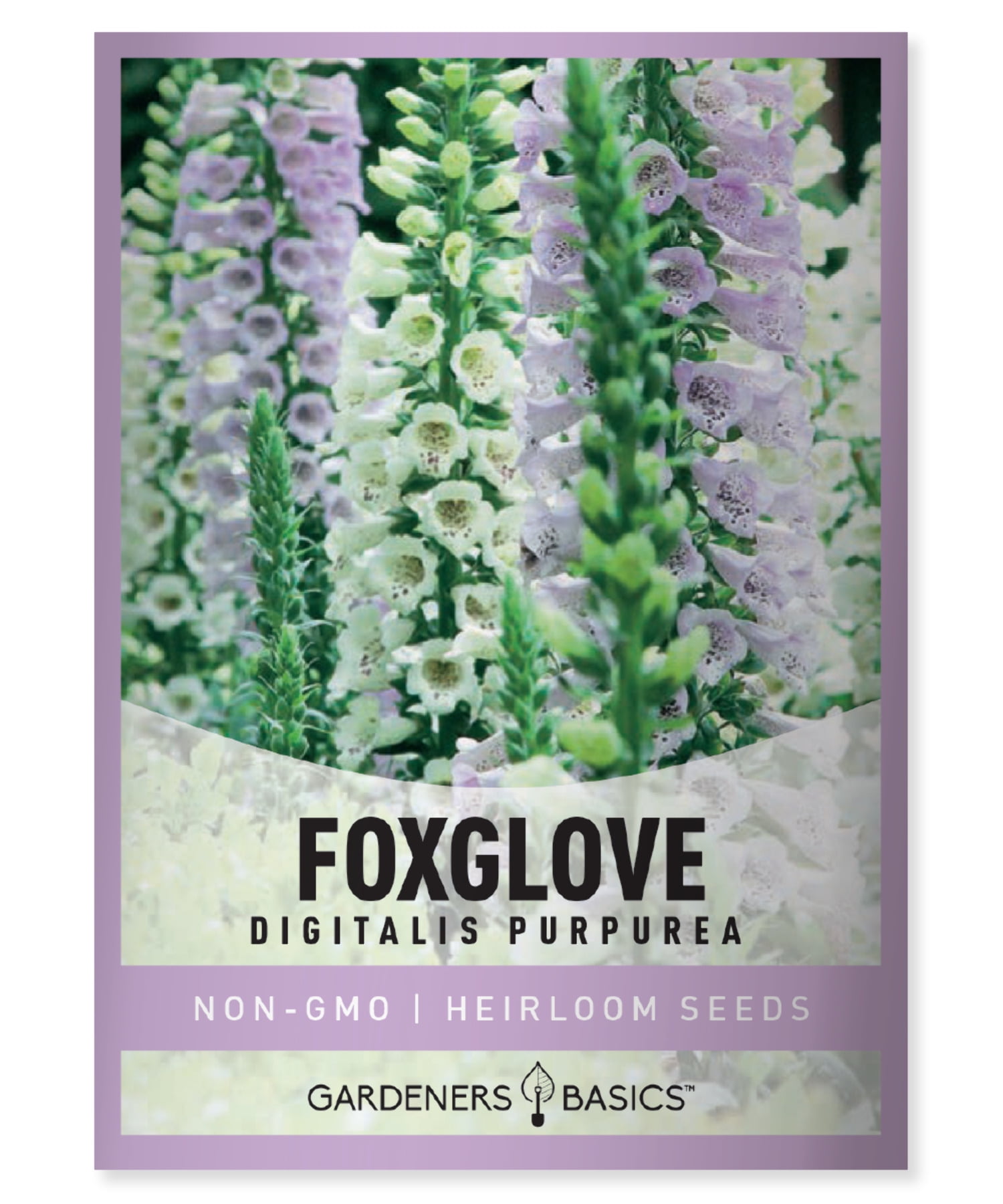 Gardeners Basics Foxglove Seeds