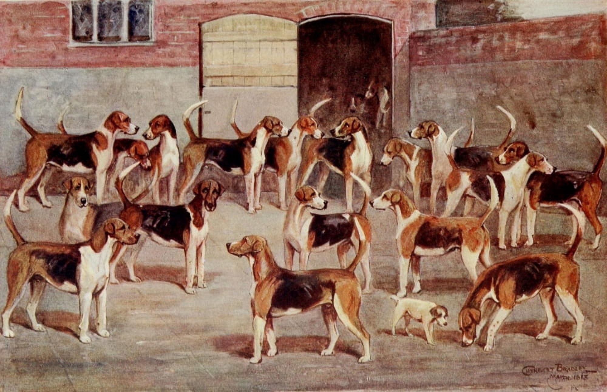 Foxhound of Twentieth Century 1914 The Ledbury dog hounds Canvas Art - C Bradley (24 x 36)