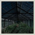 thumbnail image 1 of Foxing - Dealer - Music & Performance - Vinyl, 1 of 1