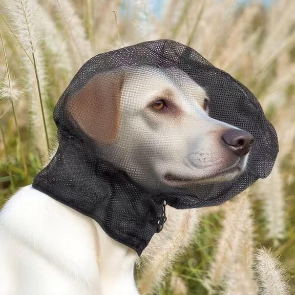 Foxtail Mask for Dogs, Field Net Guard Dog Foxtail Protection Hood for Dogs Prevent Foxtails Thorns Rocks Insects, Dog Face Guard for Hiking, Outdoor Adventures(xw)
