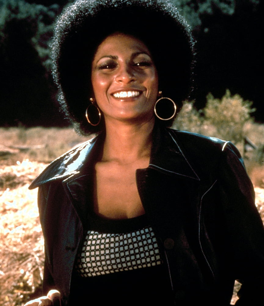 Foxy Brown Canvas Art - (16 x 20)