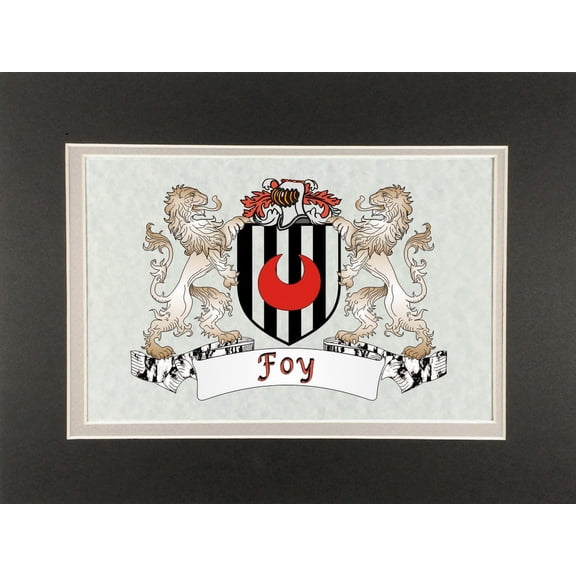 Foy Irish Coat of Arms Print - Frameable 9" x 12"