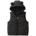 thumbnail image 1 of Fozruso Winter Warm Jackets 18-24 Months,Girls Winter Coat Vest With Hood Kids Warm Quilted Jacket Stylish Casual Outerwear For Toddler And Children Suitable For Children 1 To 4 Old Black, 1 of 6