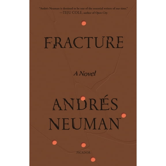 Fracture : A Novel (Paperback)