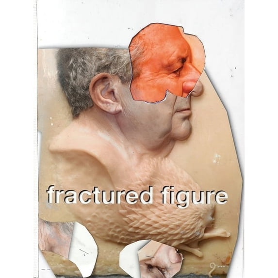 Fractured Figure, Volume I, (Paperback)