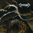 thumbnail image 1 of Fractured, 1 of 1