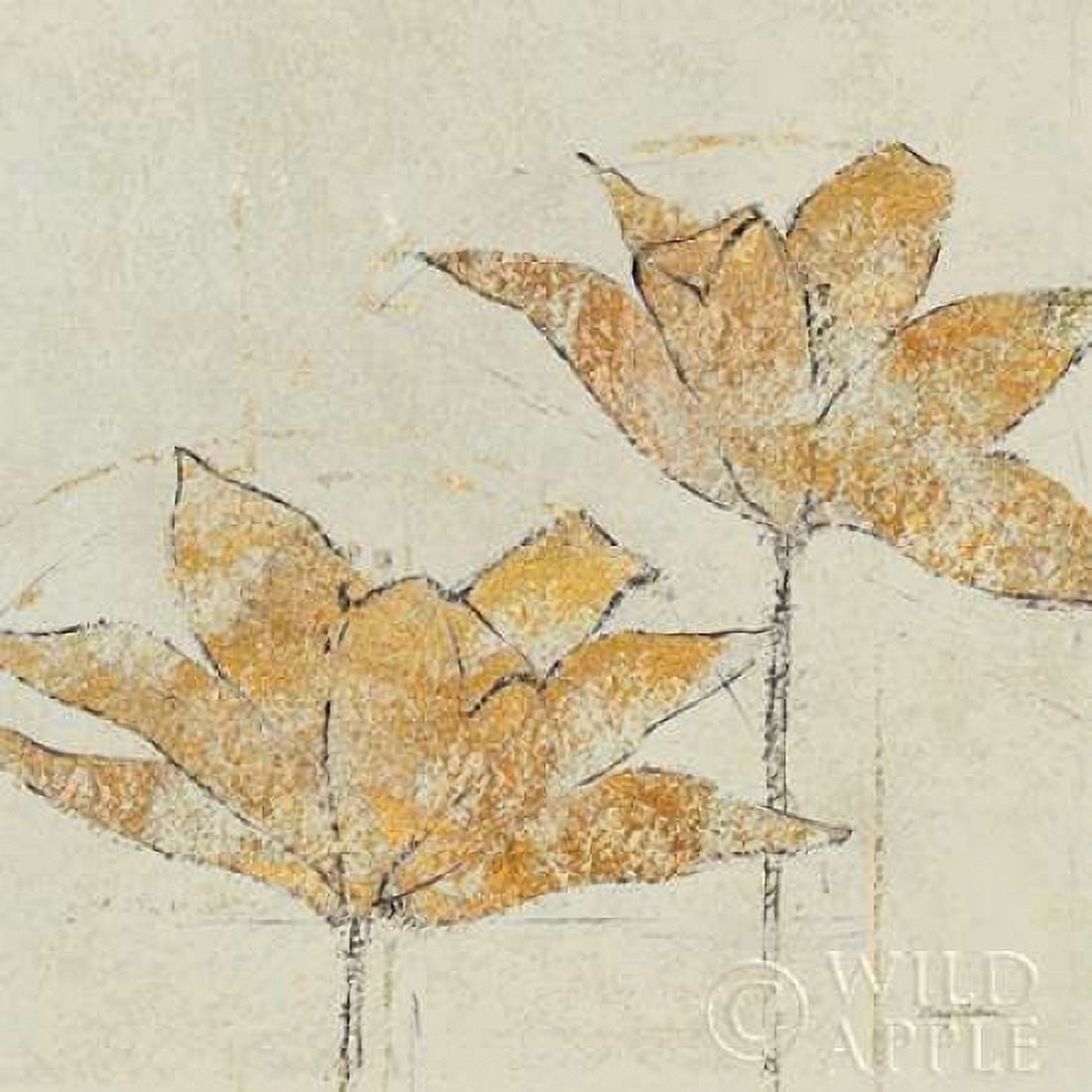 Fragile II Canvas Art - Avery Tillmon (24 x 24)
