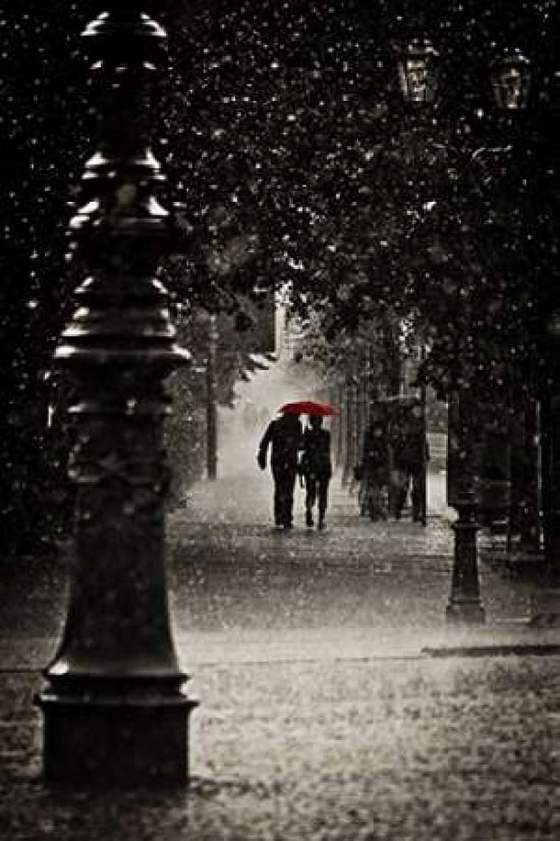 Fragments of Water Canvas Art - Stefano Corso (24 x 36)
