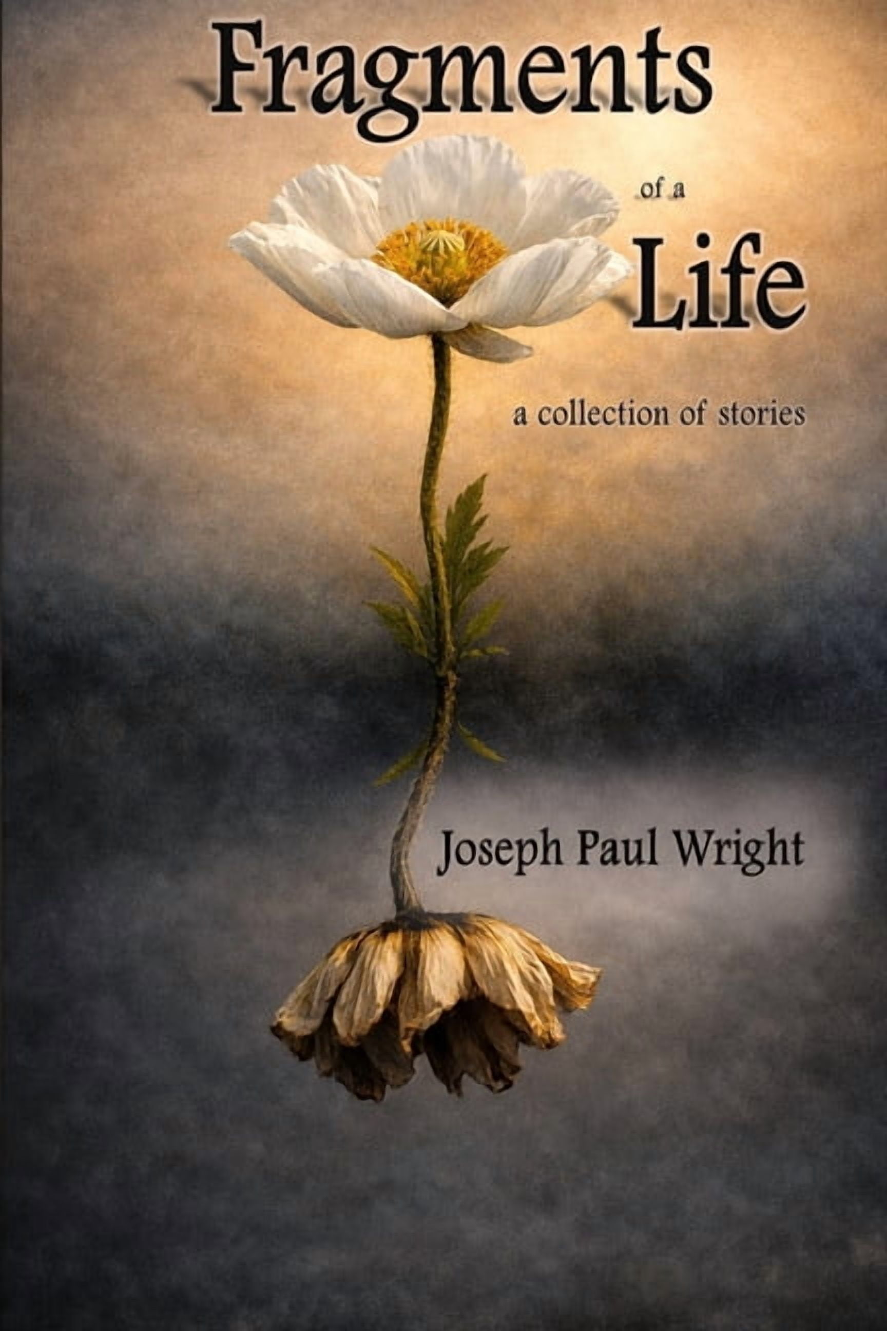 Fragments of a Life: a collection of stories, (Paperback)